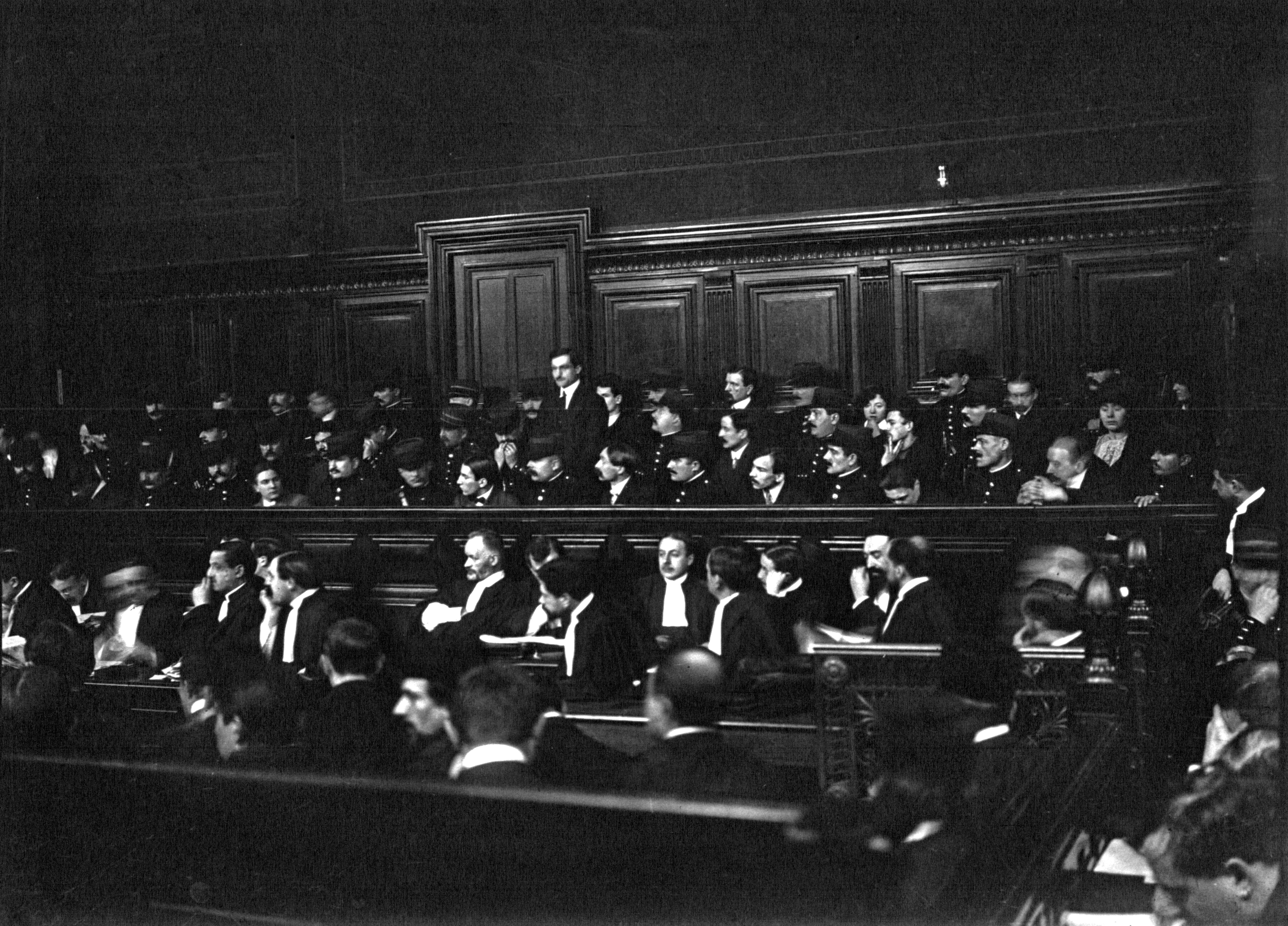 Tribunal